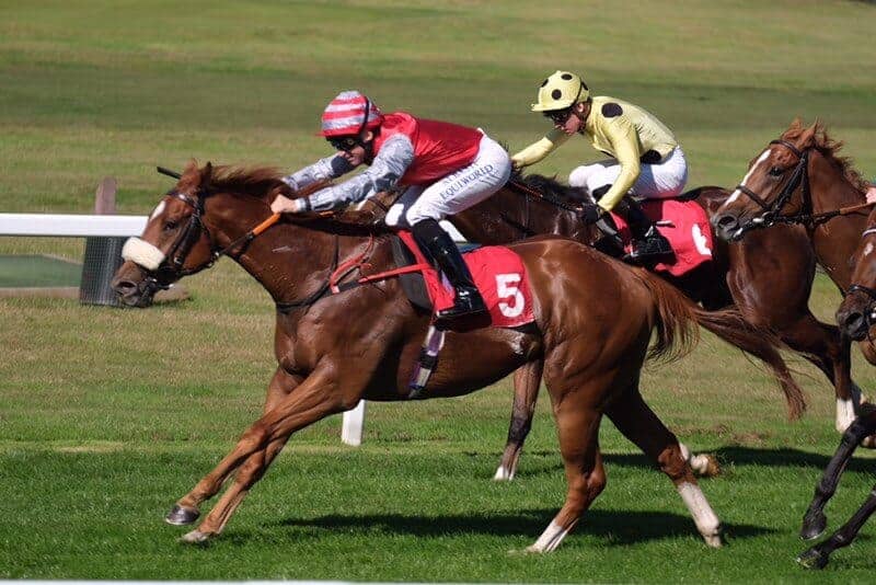 Sandown Park Horse Racing