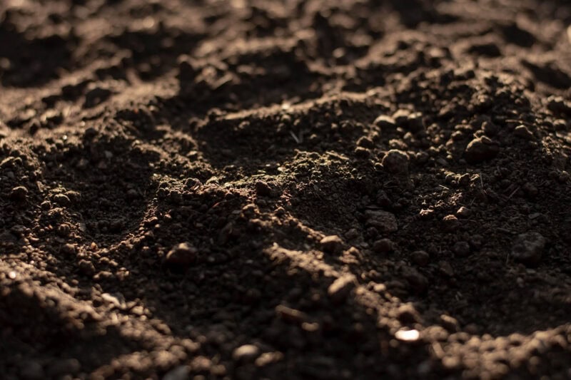 Close up shot of topsoil BS 3882.
